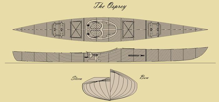 A drawing of the osprey, with its wings open.